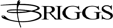 Logotipo oficial BRIGGS